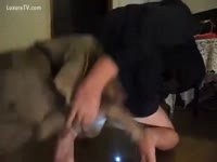 Guy shines a light on his gazoo getting screwed by a dog